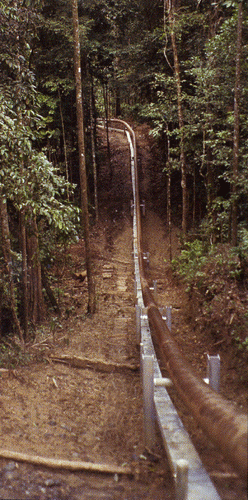 Oil Pipeline in the Rainforest of Ecuador.  Texaco spilled millions of gallons of oil into this delicate ecosystem